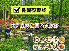 -上海共青森林公园