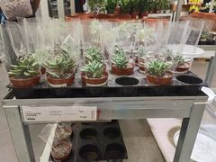 -宜家家居(哈尔滨商场店)