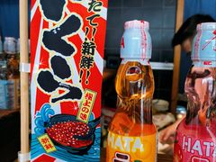 -衣川小森林·料理·寿司(鸿铭中心店)