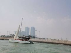 -渡海小渔村.老辈日照菜