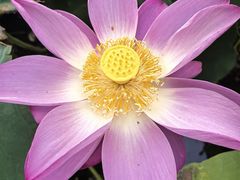 -莲池书院博物馆