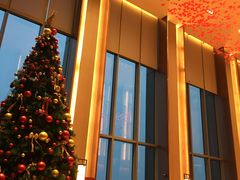 -嘉定凯悦·咖啡厅