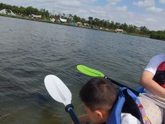 -春花秋色城市公园