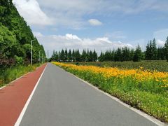 -上海长兴岛郊野公园