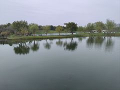 -眉山湿地公园(东坡区)