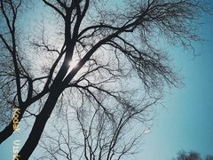 -恭王府博物馆