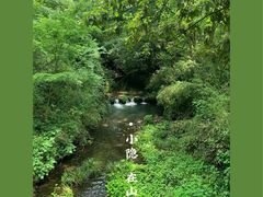 -灵隐飞来峰景区