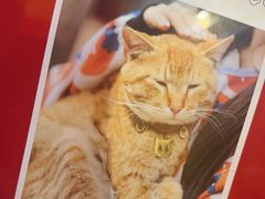 -鸡鸣赐茶(鸡鸣寺路店)