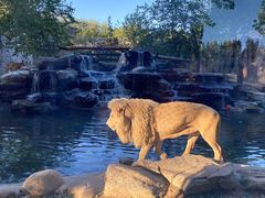 -北京野生动物园