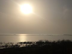 -巢湖姥山岛