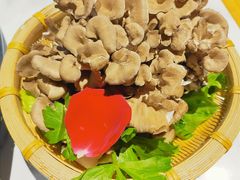 玉女菇（活体）-今日炊牛·潮汕牛肉火锅(华采天地店)