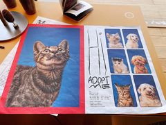 -Seesaw Coffee(朝阳大悦城店)