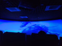 -苏州青少年科技馆