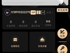 -V SHOW max KTV(粉巷店)
