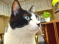 -路易时光(蕴川路店)