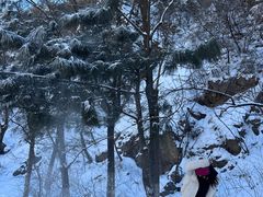 -妙峰山风景名胜区
