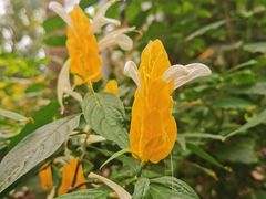 -北京植物园-展览温室