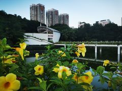 -深圳国际园林花卉博览园