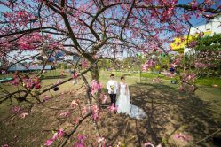 -太古映画婚纱摄影(天河店)