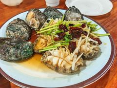 油泼鲍鱼-天伦海鲜·老味道·青岛菜(栈桥天主教堂店)