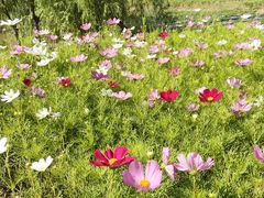 -千姿湖生态旅游景区