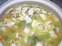 -青花椒花椒鱼(合生汇店)