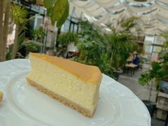 -北马山庄植趣咖啡