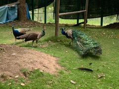 -华东政法大学(松江校区)