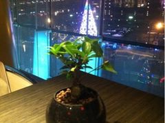 窗外的圣诞树-滩万日本料理Nadaman(国贸大酒店)