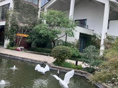 -广富林宰相府酒店·水云间