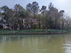 -黄兴公园