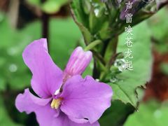 -苏州河梦清园环保主题公园