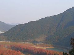 -小芝红树林