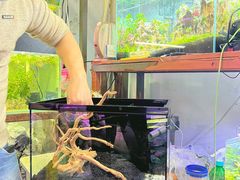 -三旗百汇商品城