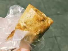 春卷-胡荣泉