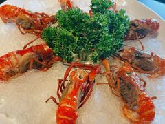 -红盔甲·小龙虾(人民广场店)