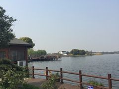 -鹅湖玫瑰文化园