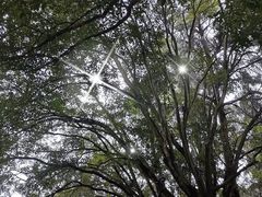 -芙蓉镇景区