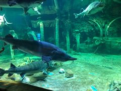 -华夏文旅海洋公园