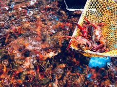 -盒马鲜生(皇庭广场店)
