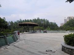 -大亚湾红树林城市湿地公园