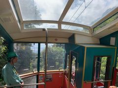 -神户市立六甲山牧场