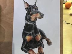 -八哥美术·成人美术画室(总校区)
