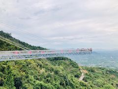 -呀诺达热带雨林