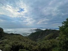 -莫干山风景区