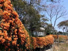 -桃花涧