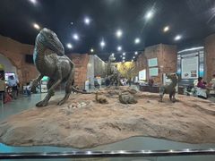 -中国西峡恐龙遗迹园