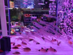 -三旗百汇商品城