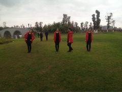 -瑶湖郊野森林公园