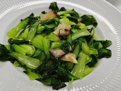 -雨后行菜(报慈北路店)